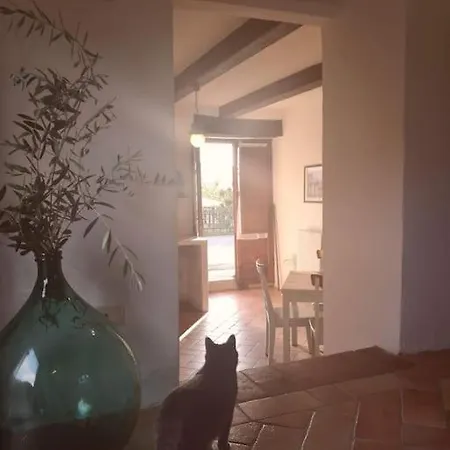 Fantastic In The Heart Of Toscana *