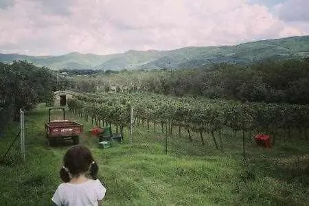 Fantastic In The Heart Of Toscana アパート カスティリオーン・フィオレンティーノ